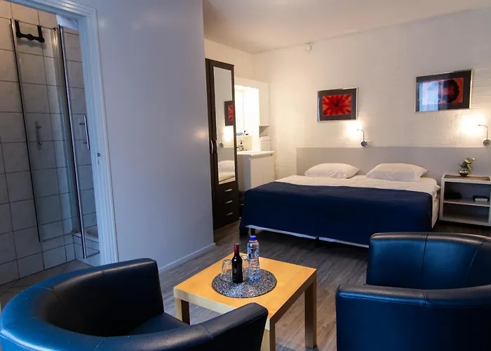 فندق 't Smedenhuys 2*