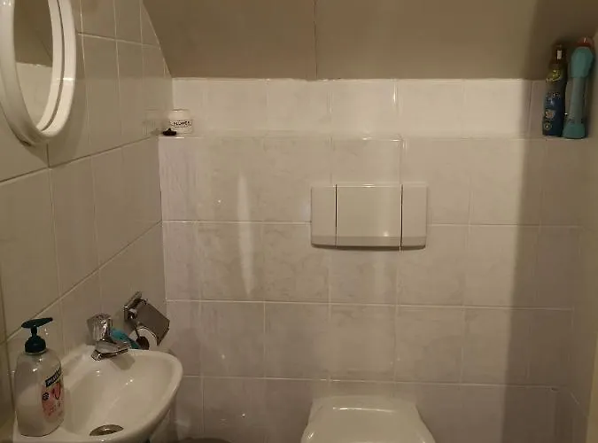 酒店 't Smedenhuys Maasbracht